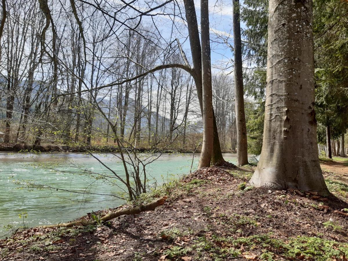 Campingfass Almtal Scharnstein エクステリア 写真