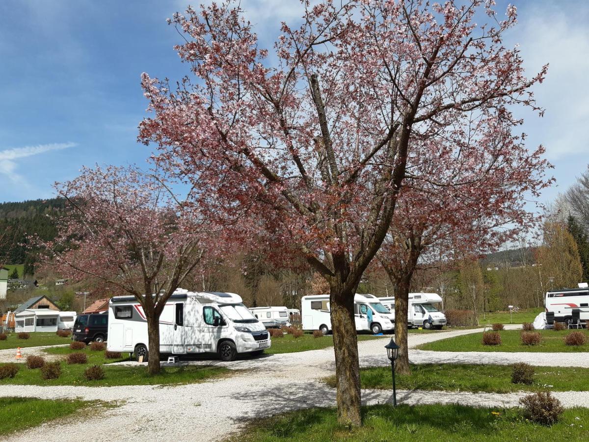 Campingfass Almtal Scharnstein エクステリア 写真