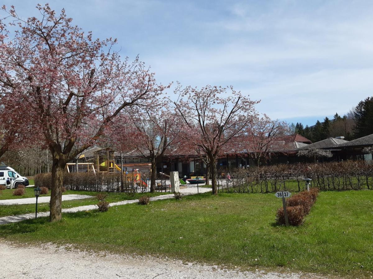 Campingfass Almtal Scharnstein エクステリア 写真