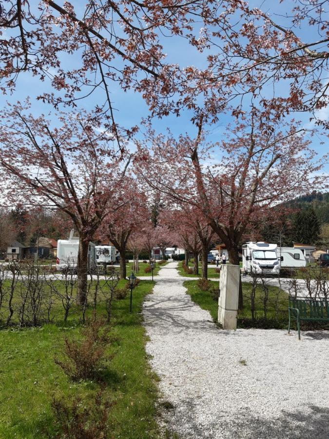 Campingfass Almtal Scharnstein エクステリア 写真