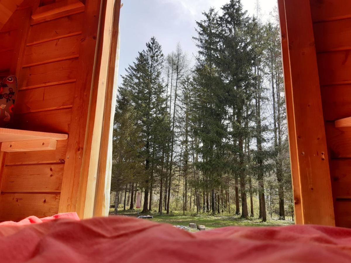 Campingfass Almtal Scharnstein エクステリア 写真